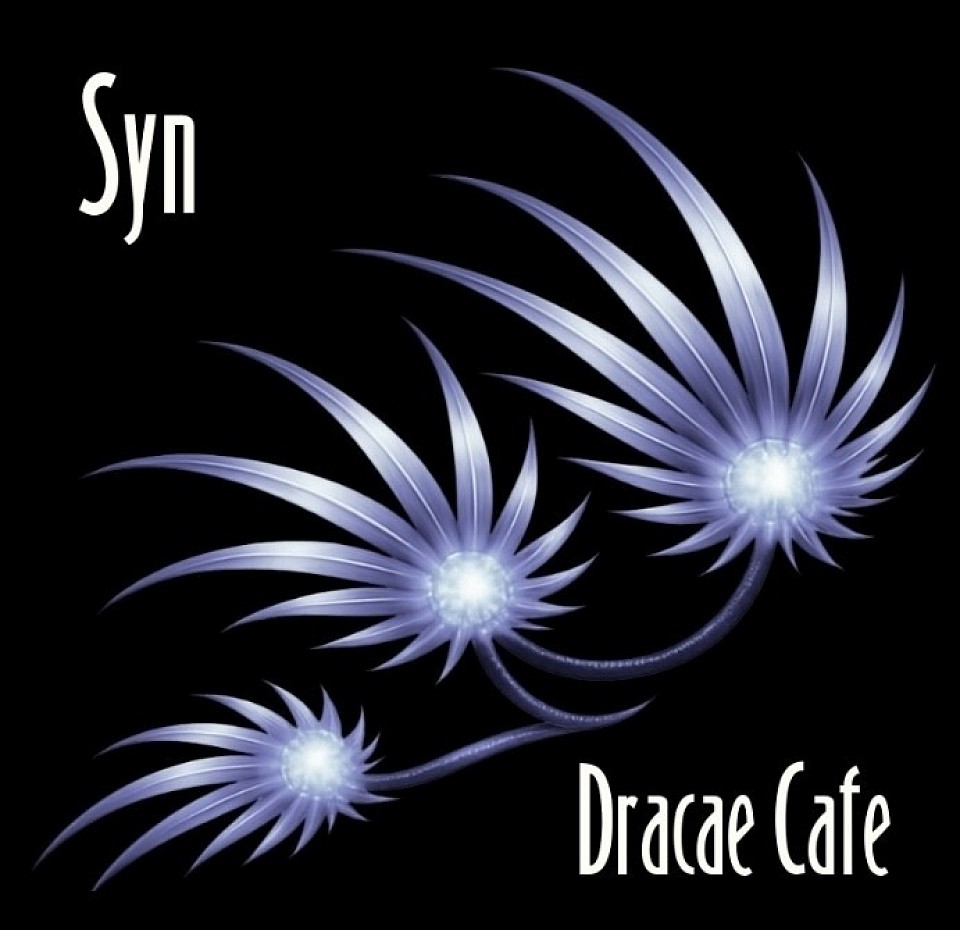 ━━━━━━•°ᬊᬁ°•━━━━━━